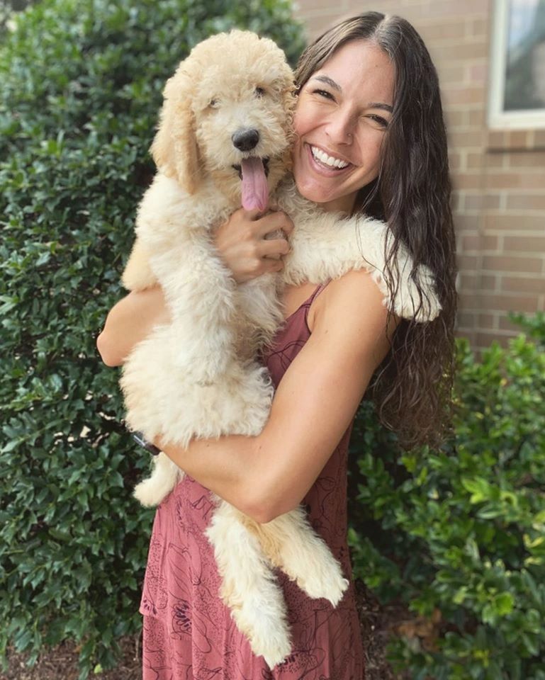 Pictures of labradoodle puppies sales